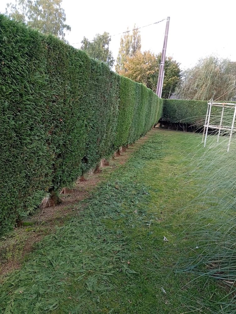 Entretien espace vert 0 08800 Thilay