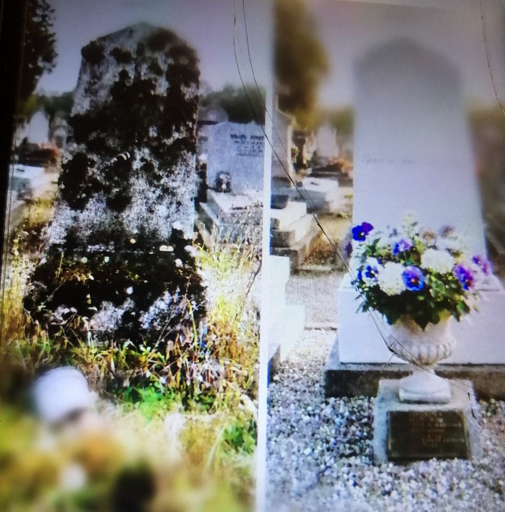 ENTRETIEN ET FLEURISSEMENT DE S&Eacute;PULTURES - PARIS 17eme 
0 75017 Paris