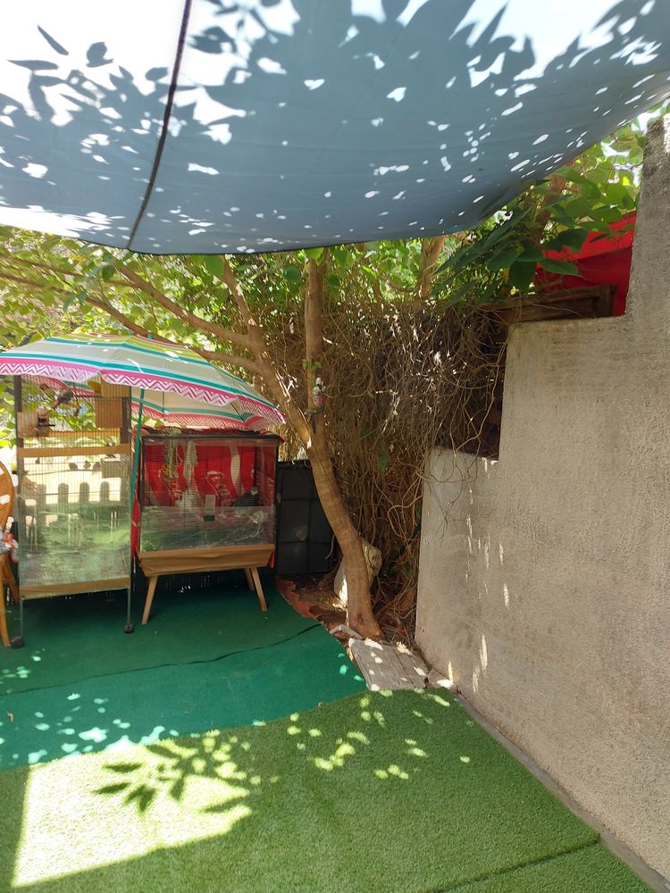 Garde enfant, b&eacute;b&eacute; uniquement &agrave; mon domicile 0 11100 Narbonne