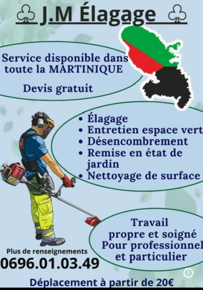 Bonjour J offre mes services d entretien d espaces vert etc 0 97200 Martinique