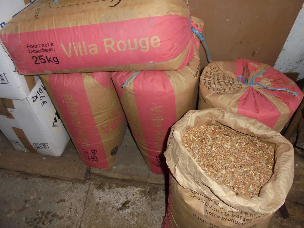 D&eacute;chet de bl&eacute; tri&eacute; 0 17800 Belluire