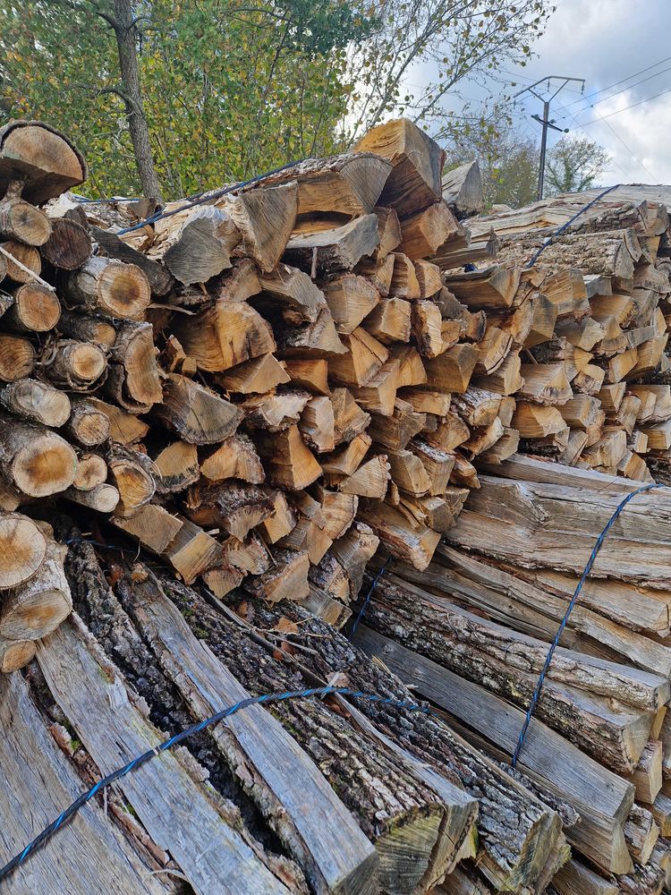 bois+de+chauffage 0 24600 Saint-sulpice-de-roumagnac