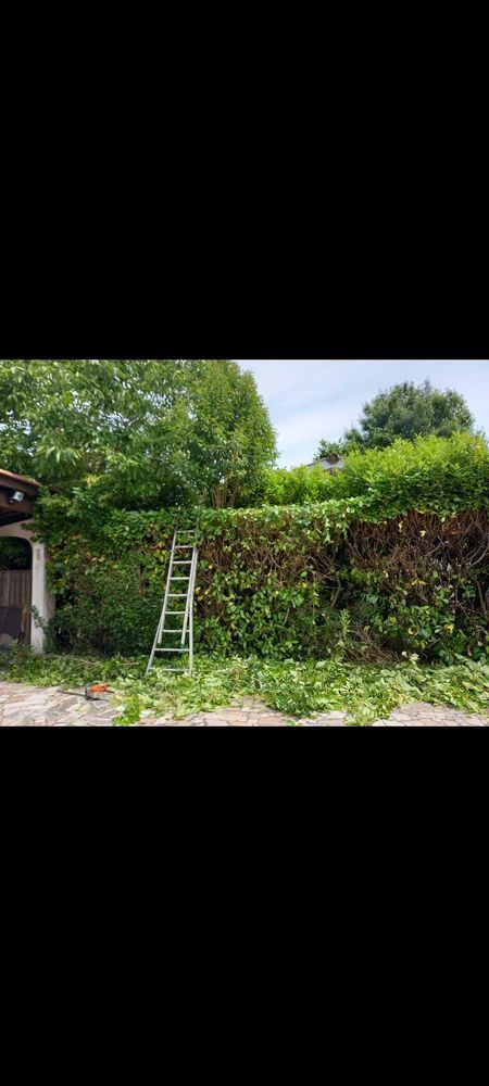 votre+devis+d'&eacute;lagage+gratuit+en+moins+de+24h 0 33700 M�rignac