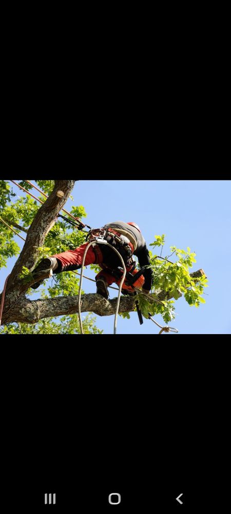 Votre devis d'&eacute;lagage gratuit en moins de 48 h 0 33700 M�rignac