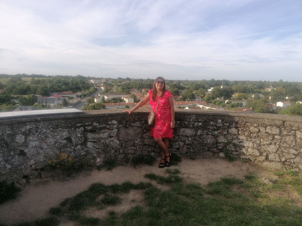 Bonjour, je cherche de travaille comme aide &agrave; domicile 0 91600 Savigny-sur-orge