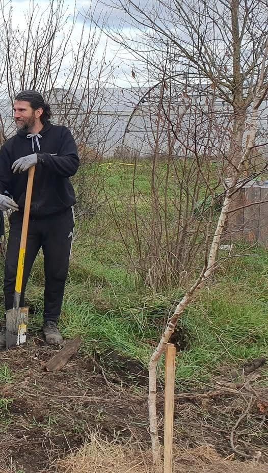 Je suis jardinier Paysagiste  , en cesu ou autres ... 0 37000 Tours