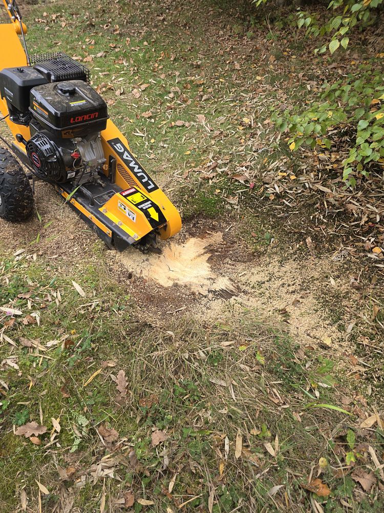 ROGNAGE / DESSOUCHAGE &agrave; proximit&eacute; d'Evreux (27) 0 27930 La trinit�