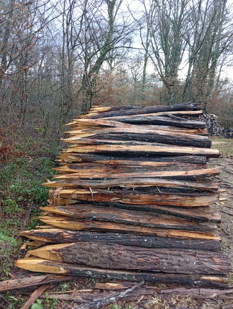 Piquet acacia  3.50 0 01960 Saint-andr�-sur-vieux-jonc