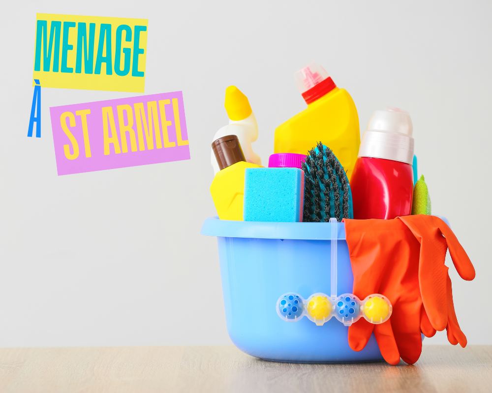 Cherche employ&eacute;.e de m&eacute;nage pour particuliers 0 35230 Saint-armel