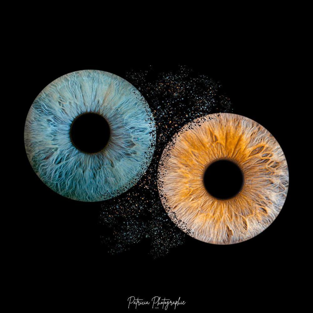 Photographe Professionnelle 0 17750 �taules