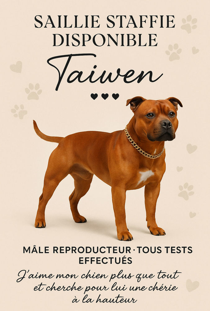 saillie staffi 0 39400 Morez