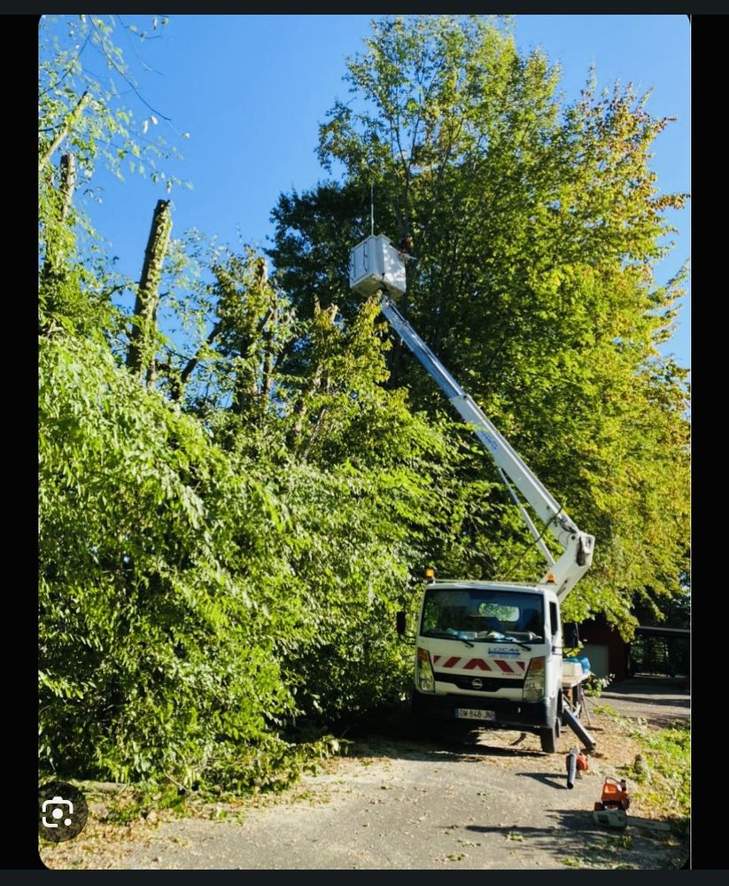 Elagage 0 22190 Pl�rin