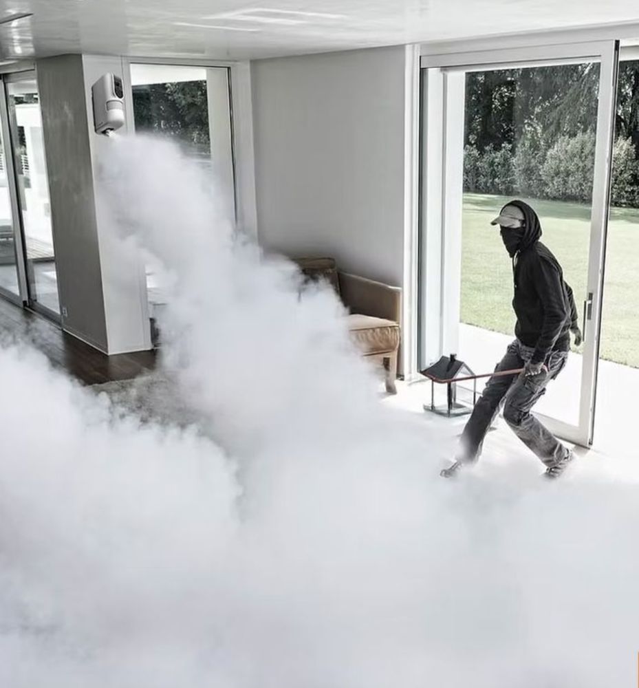 Prot&eacute;gez votre maison avec l'alarme fumig&egrave;ne 0 77410 Claye-souilly