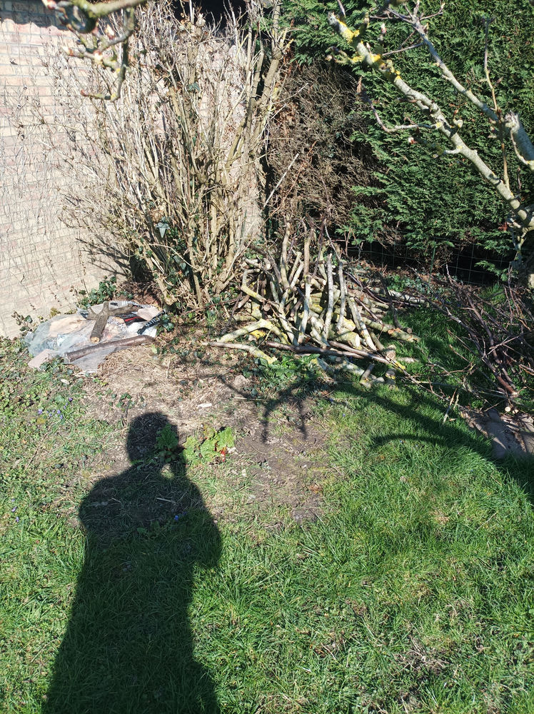 Donne branches et buchettes 0 62840 Laventie