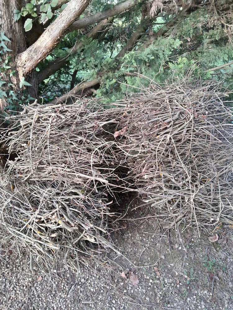 Petits fagots &agrave;  enlever.
0 01000 Bourg-en-bresse