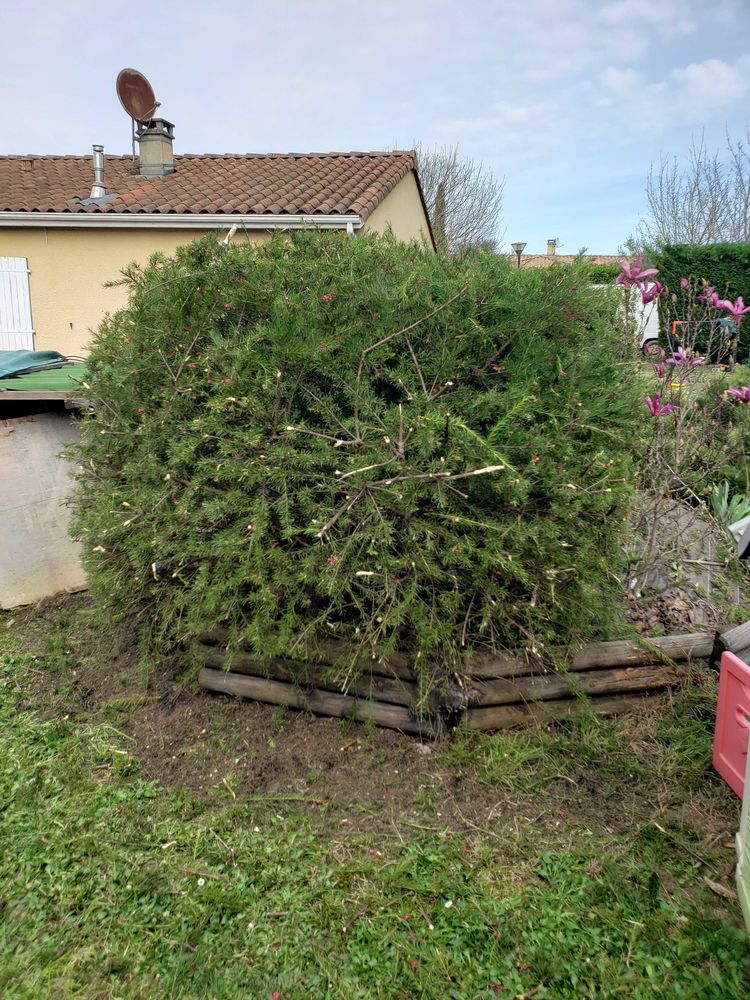 jardinier+&eacute;lagueur 0 31620 Fronton