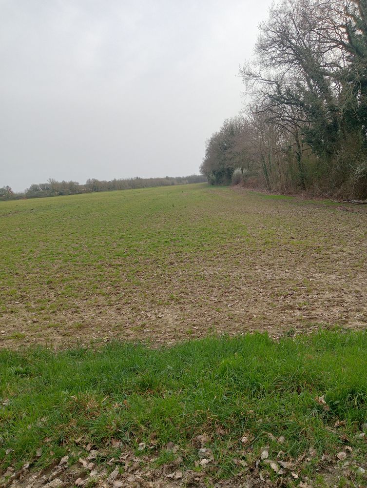 terrain agricole  49630 Corn�