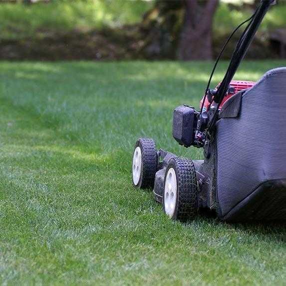 espace vert 0 14330 Le molay-littry