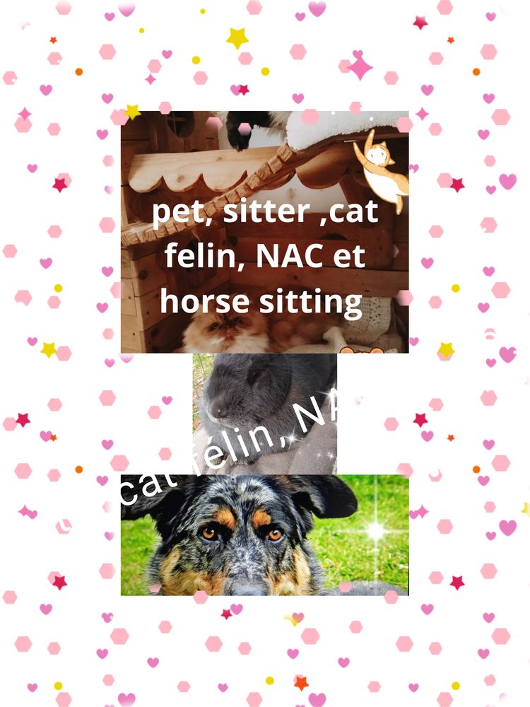 Pet sitter cat sitter horse sitting et NAC 0 22400 Lamballe