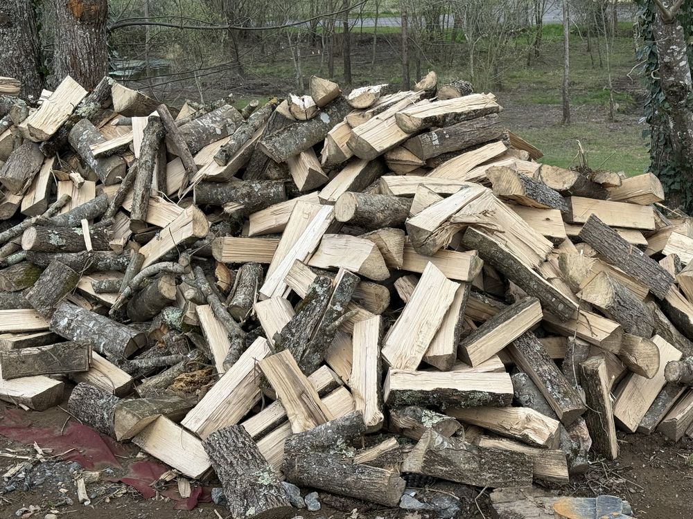 Bois de Chauffage en 50cm 0 65100 Bartr�s