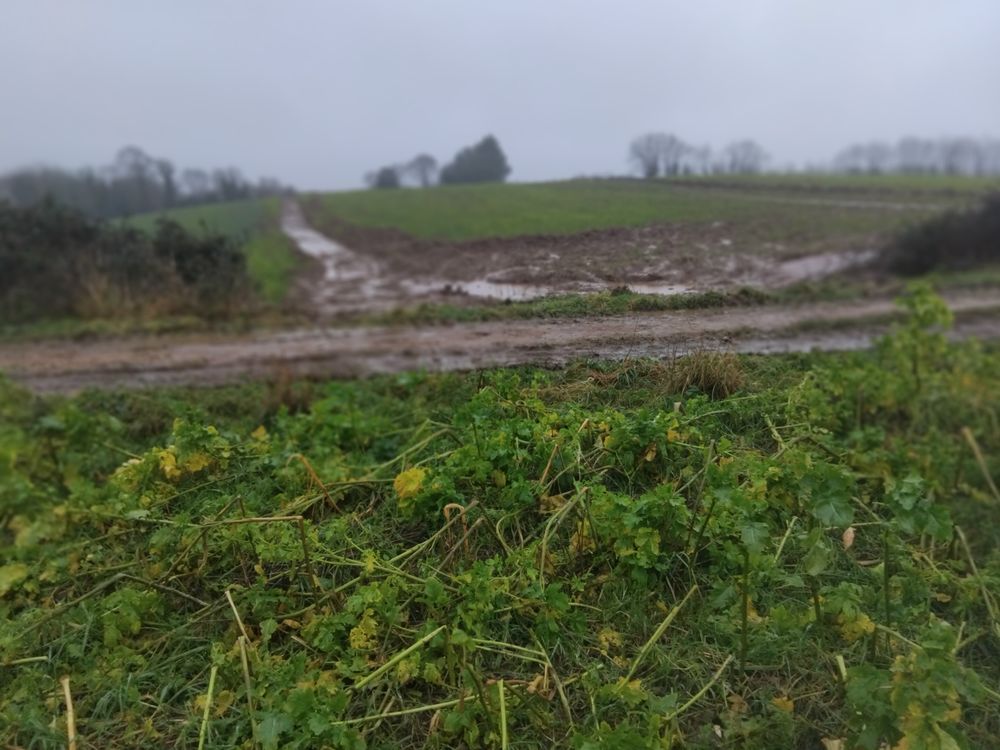 cherche remblai 0 29900 Concarneau