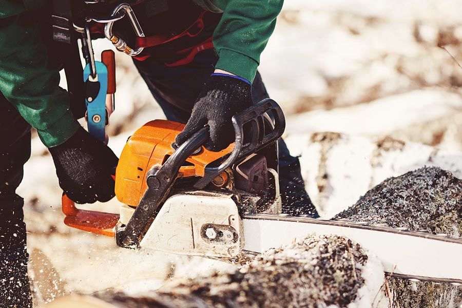 B&ucirc;cheron 0 12330 Marcillac-vallon