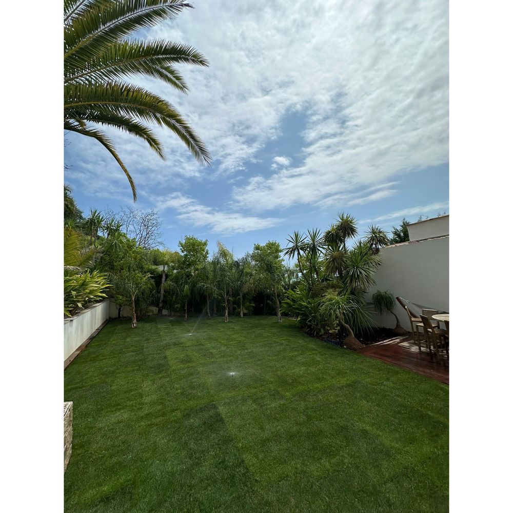 Deux fr&egrave;res jeunes ? Entretien et cr&eacute;ation d'espaces verts 0 06400 Cannes