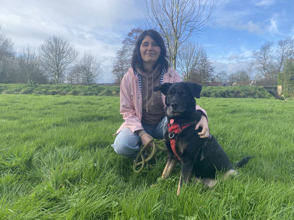 Pet-sitter &agrave; Saint Renan pour chiens et chats 0 29290 Saint-renan