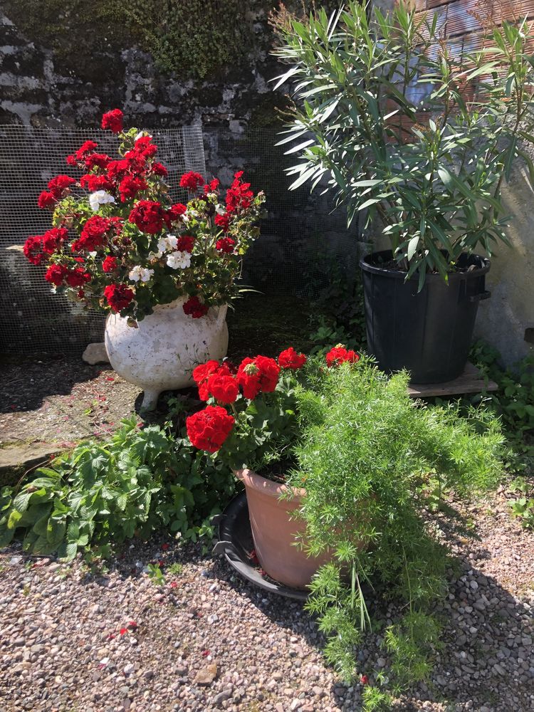 Services 0 70210 Passavant-la-roch�re