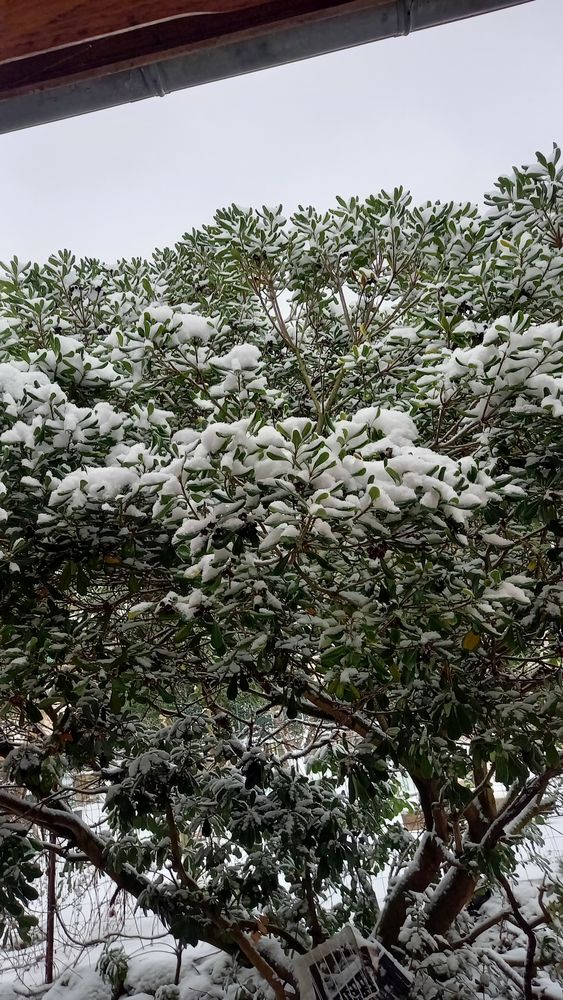 Assistante aux personnes 0 78420 Carri�res-sur-seine