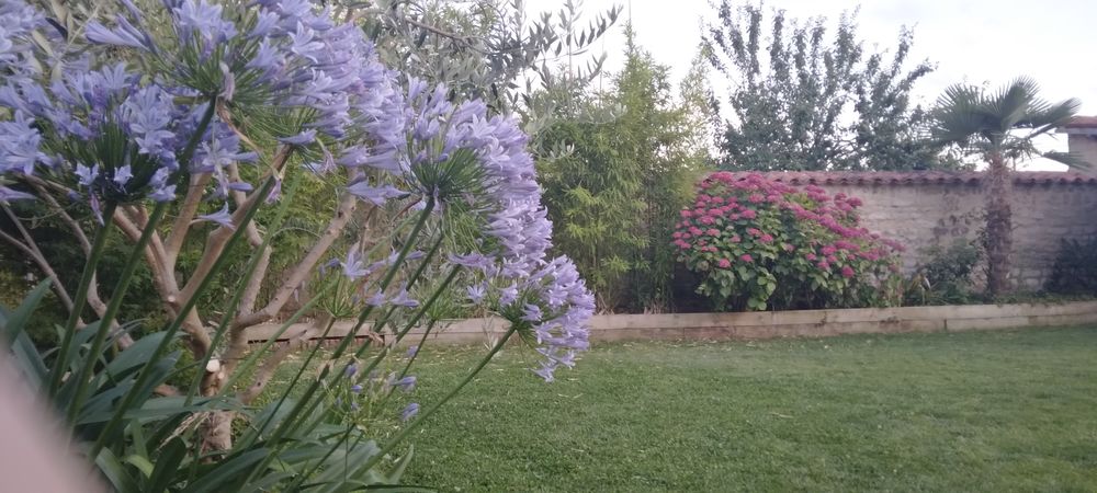 Service &agrave; la personne 0 85540 Saint-cyr-en-talmondais