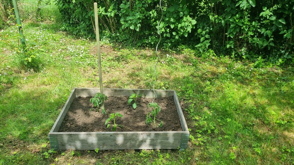 D&eacute;sherbant 0 33420 Gr�zillac