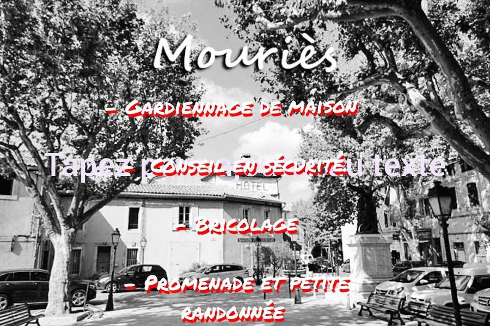 Homme de confiance propose divers services. 0 13890 Mouri�s