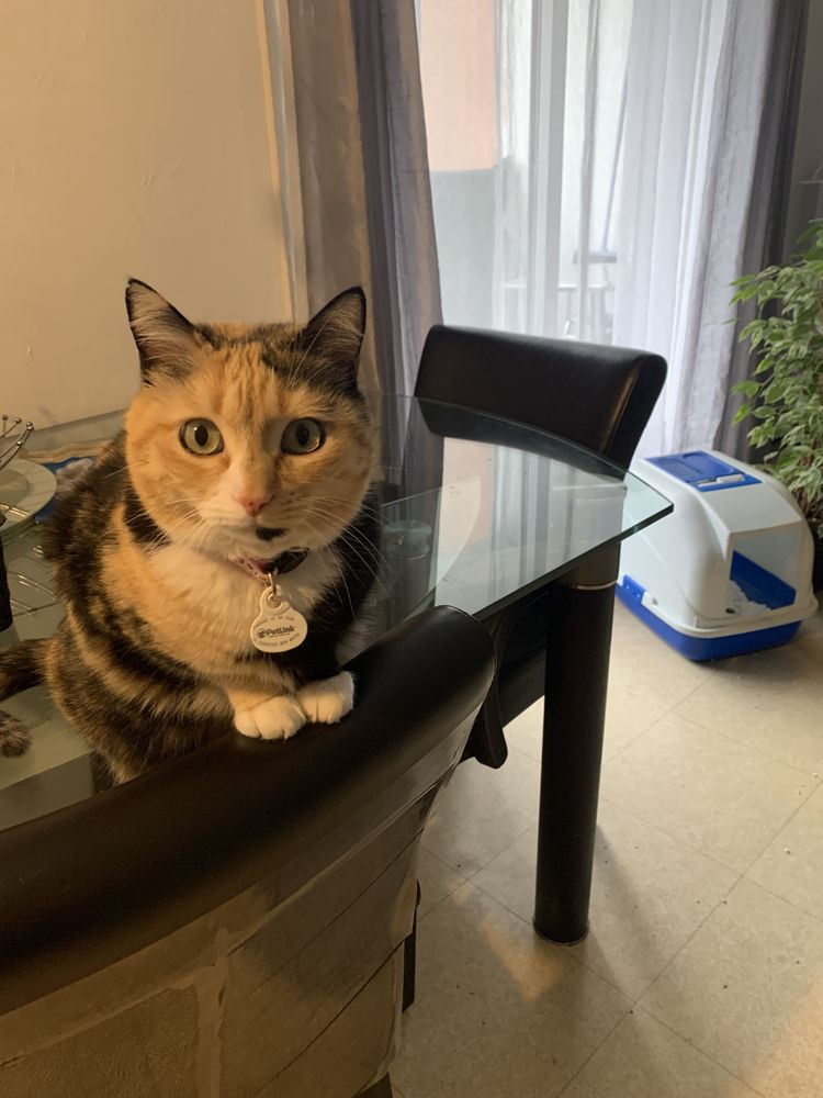 Auxiliaire de vie 0 06300 Nice