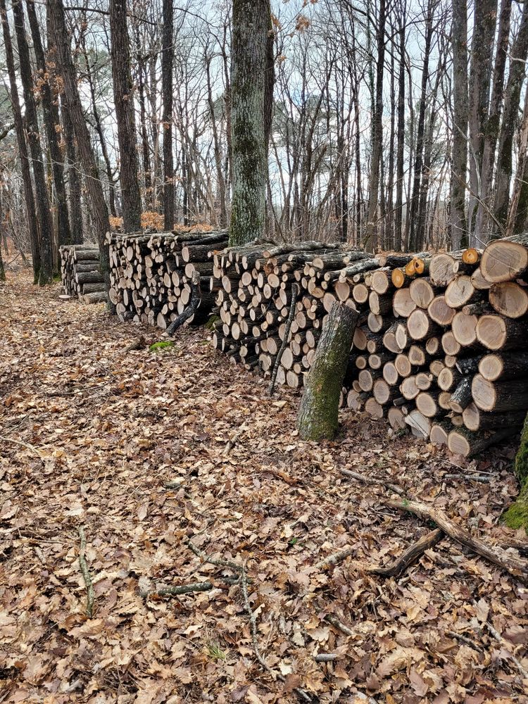 Ch&ecirc;ne / Ch&acirc;taignier / Noyer 15 86000 Poitiers
