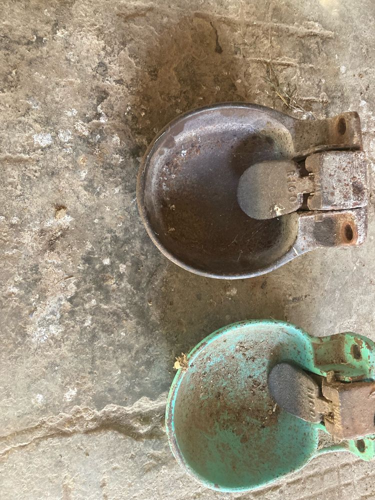 abreuvoirs 20 17620 Saint-agnant