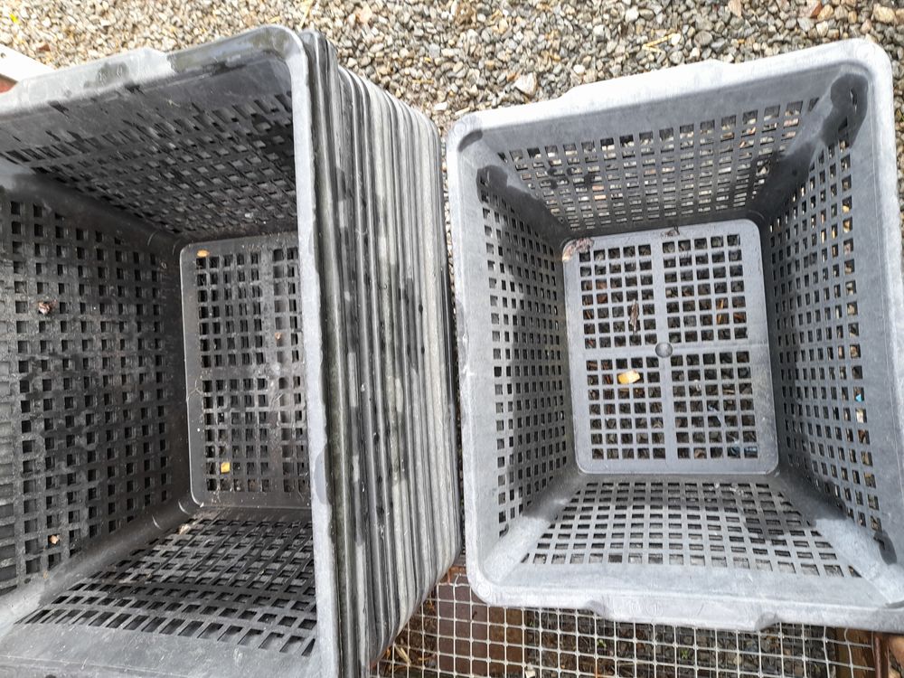 conchyliculture ,mannes plastiques creuses et plates 350 85230 Bouin