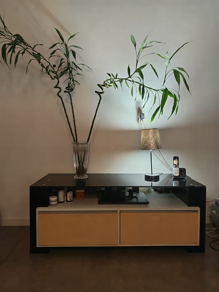 mon meuble tv Mob&uuml;ler Tempered avec fixation plasma 50 93250 Villemomble