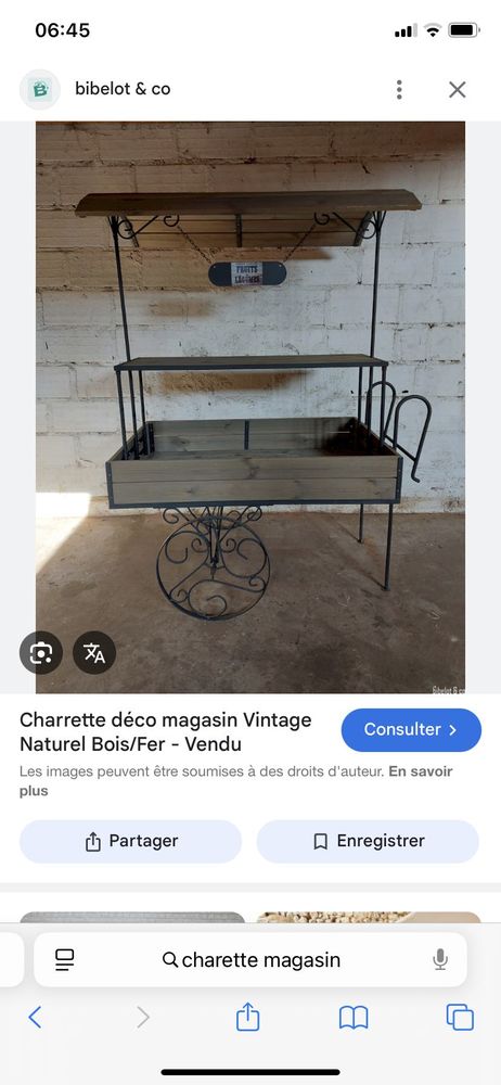charrette de magasin 250 53200 M�nil