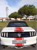 Ford Mustang Fastback 2.3 EcoBoost 317 A 35500 85800 Le Fenouiller