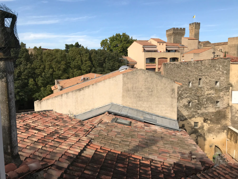 Annonce Location Appartement Salon De Provence 13300 53 M 595 992756314068