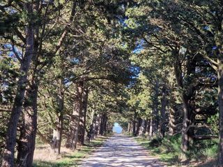  Ferme � vendre 1000 m�