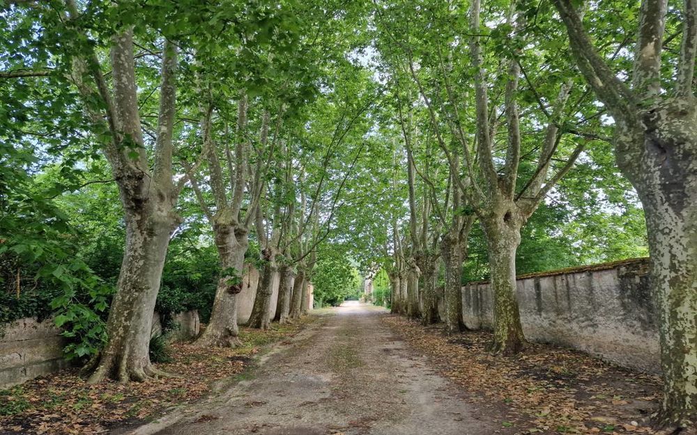 � vendre  Propri�t�/ch�teau Carcassonne (11000)