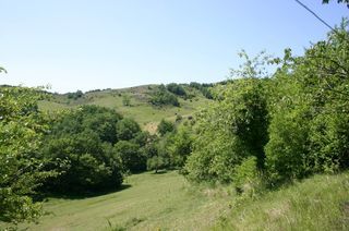  Ferme � vendre 317 m�