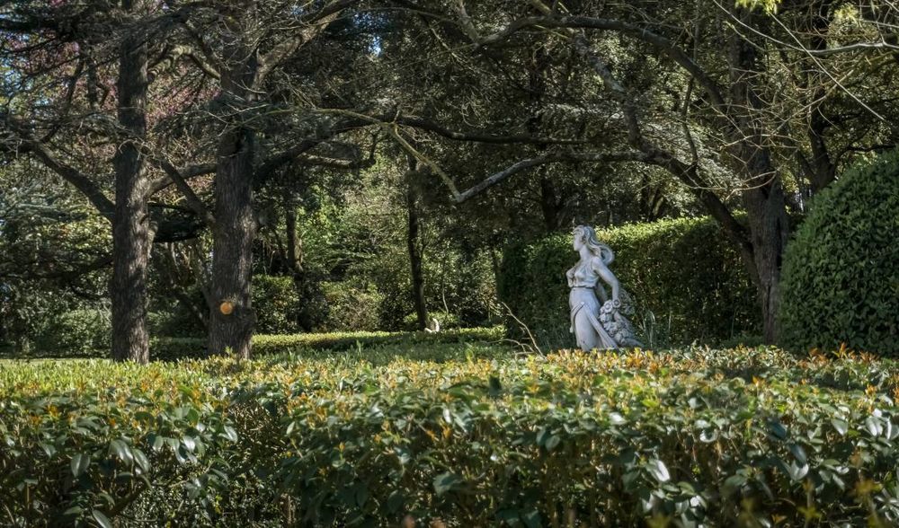 � vendre  Propri�t�/ch�teau Carcassonne (11000)