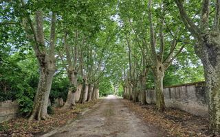  Propri�t�/ch�teau � vendre 840 m�