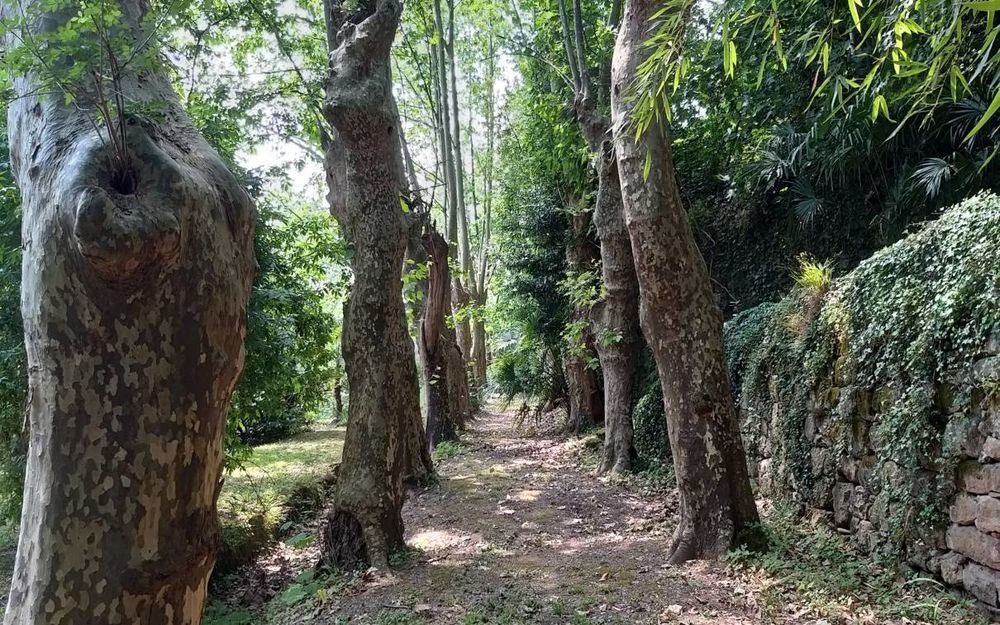 � vendre  Propri�t�/ch�teau Montpellier (34000)