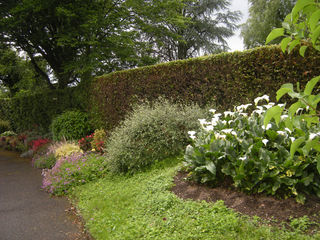  Maison � vendre 6 pi�ces 132 m�