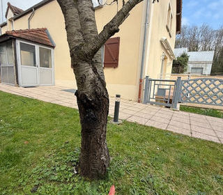  Maison � vendre 6 pi�ces 234 m�