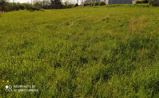  Terrain � vendre 1961 m�